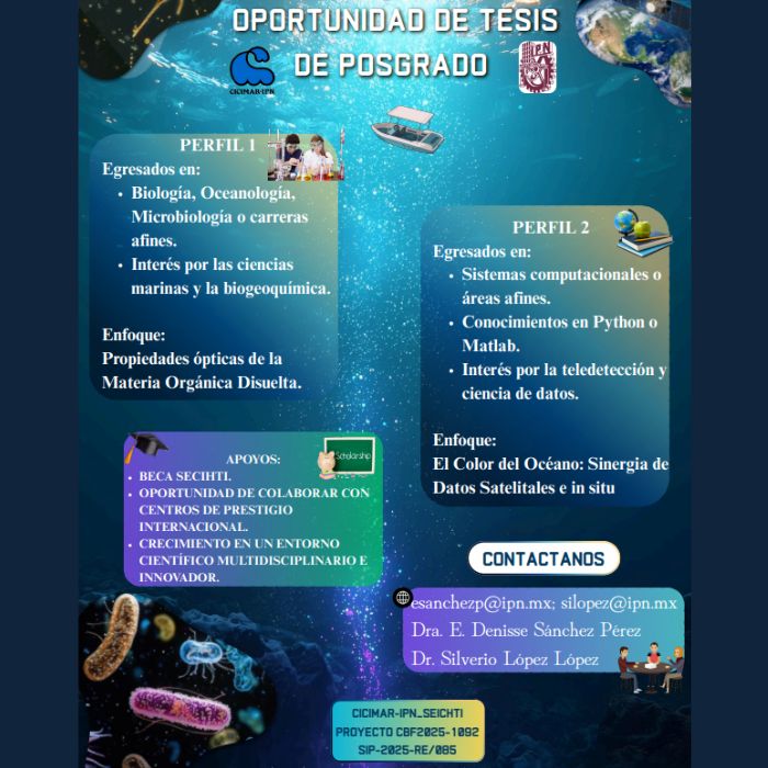 Oportunidad de Tesis