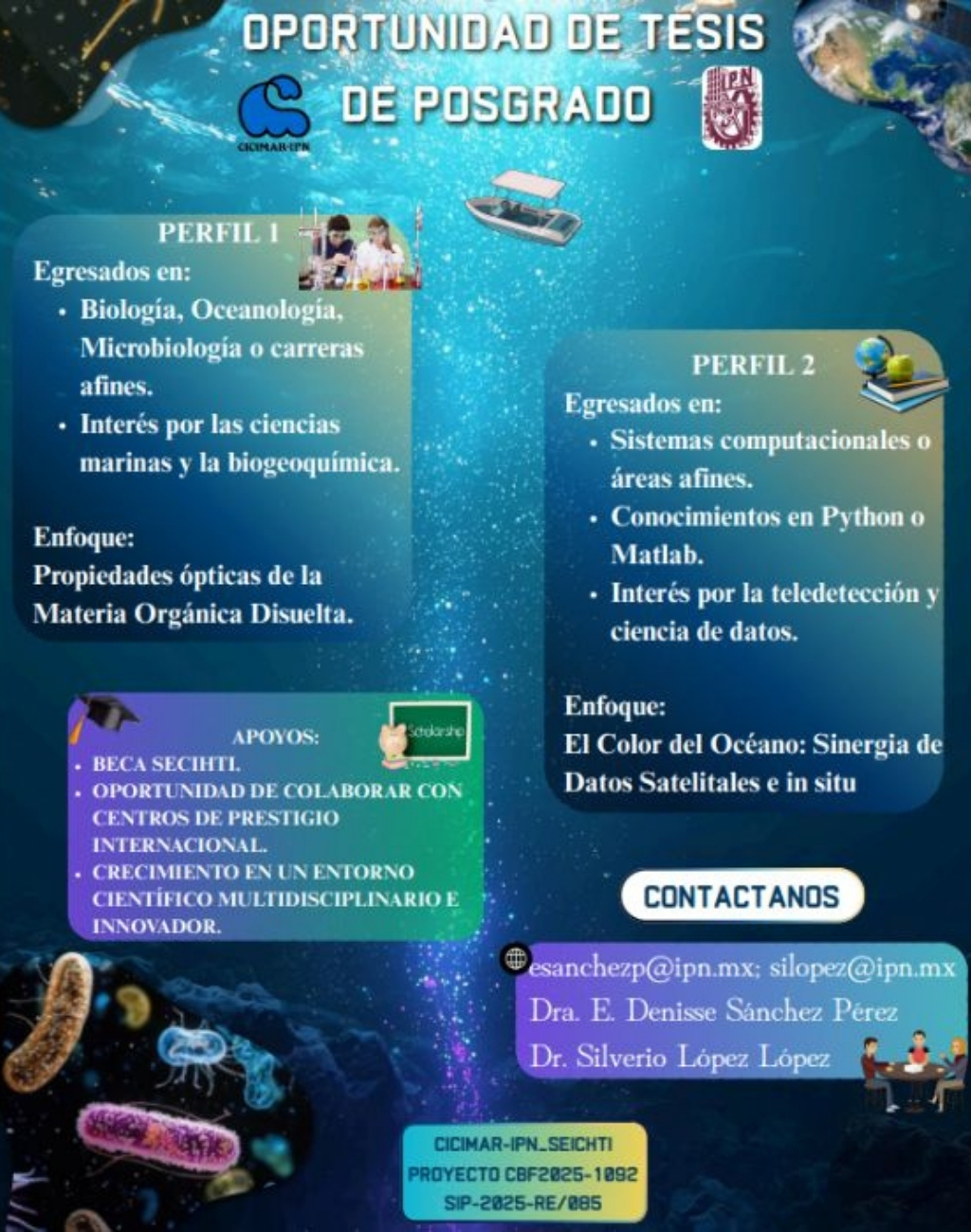 Oportunidad de Tesis