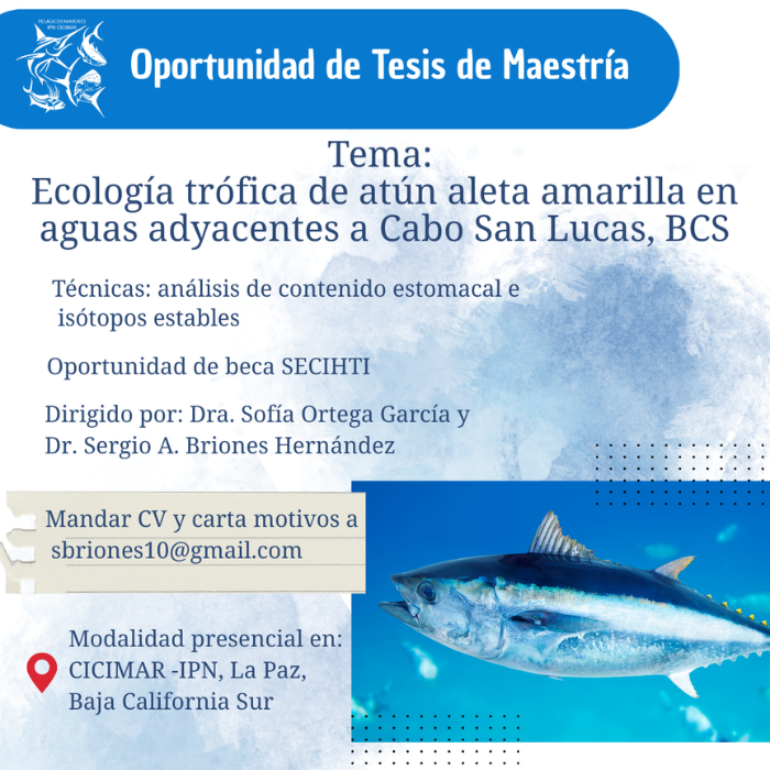 Oportunidad de Tesis de Maestría