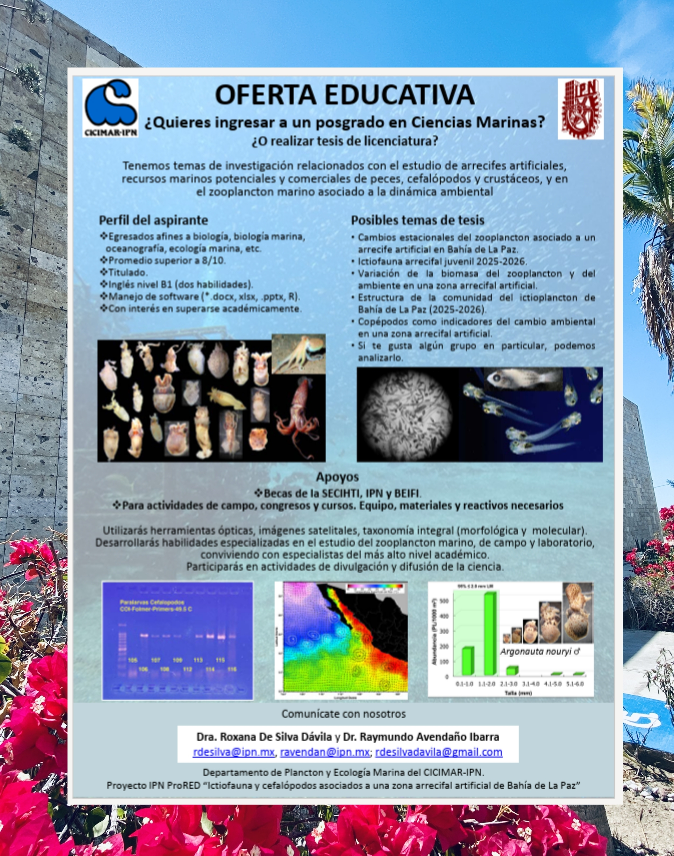 Oferta Educativa