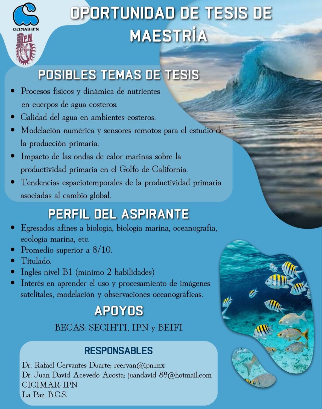 Oportunidad de Tesis Maestría