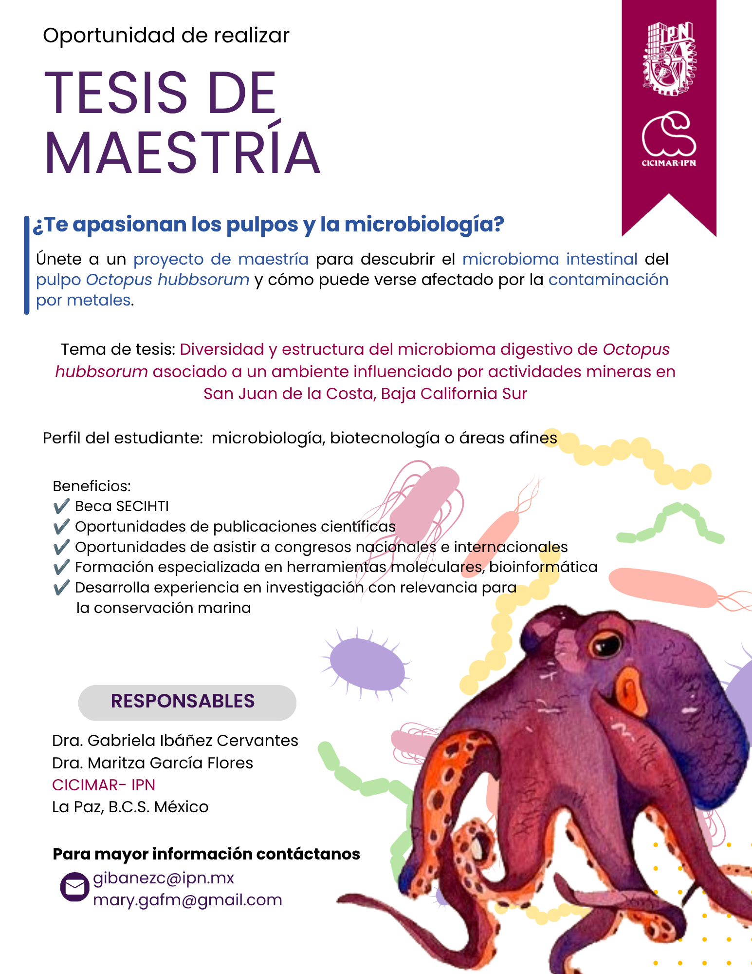 Oferta de Tesis