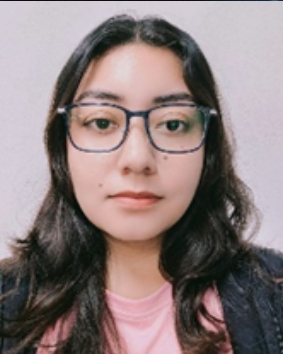 Representante Estudiantil