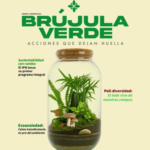 Brújula Verde 